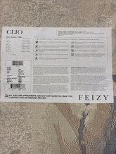 Load image into Gallery viewer, Feizy Clio Area Rug