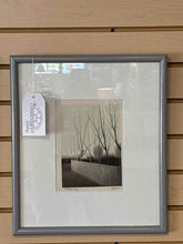 Load image into Gallery viewer, Framed Art