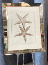 Load image into Gallery viewer, Framed Art
