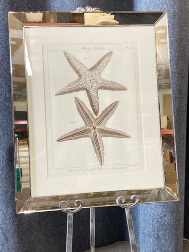 Framed Art