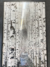 Load image into Gallery viewer, Framed Art Birch Tree Path
