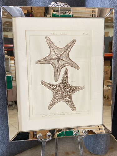 Framed Art