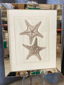 Framed Art