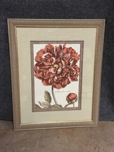 Load image into Gallery viewer, Framed Botanical Floral Print - Peony Artwork