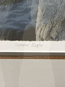 Framed Art