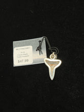 Load image into Gallery viewer, *NEW* Charles Albert Pendant