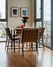 Load image into Gallery viewer, *NEW* Denver Modern Vail Dining Chairs (Multiple Quantities)