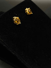 Load image into Gallery viewer, Gold Earrings