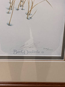 Framed Art