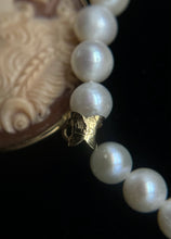 Load image into Gallery viewer, Necklace