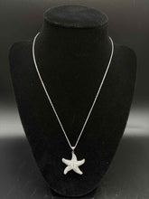Load image into Gallery viewer, Sterling Silver Necklace