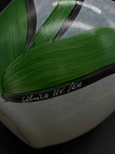 Load image into Gallery viewer, Kosta Boda Vase