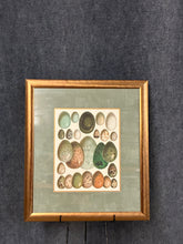 Load image into Gallery viewer, Framed Art Egg Collection II