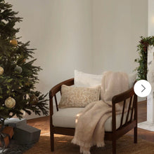 Load image into Gallery viewer, *NEW-OPEN BOX* The Citizenry Armchair