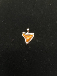 Sterling Silver Pendant