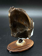 Load image into Gallery viewer, Brown 1 Piece Figurine