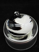 Load image into Gallery viewer, Glass Black Paperweight
