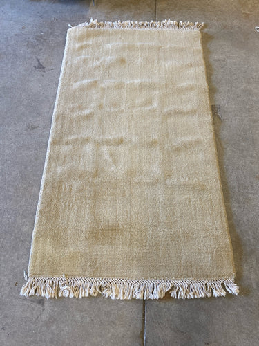 Pottery Barn Tan/Golden Area Rug