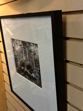 Load image into Gallery viewer, Framed Art