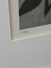 Load image into Gallery viewer, Framed Art