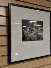 Load image into Gallery viewer, Framed Art
