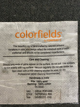 Load image into Gallery viewer, Company C Colorfields Tattersall Red Wool Accent Rug