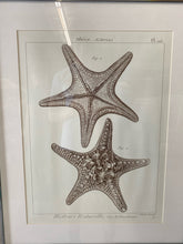 Load image into Gallery viewer, Framed Art