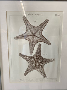 Framed Art