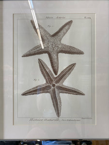 Framed Art