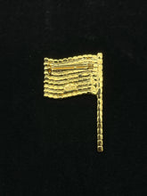 Load image into Gallery viewer, Goldtone Pin